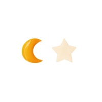 Star and Moon Earring