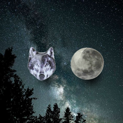 Wolf and Moon Earring