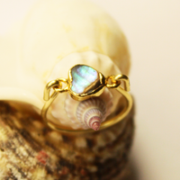 Abalone Gold Ring